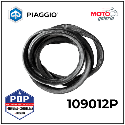 EMPAQUE DE PARABRISAS - 109012P