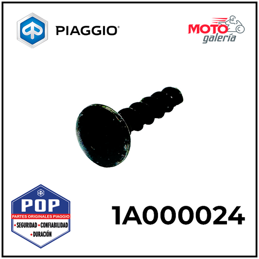 1A000024 TORNILLO DE FIJACION DE TAPA DE VENTILADOR (3X20)
