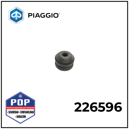 226596 - BUJE FRONTAL DE BRAZO DE SUSPENSION