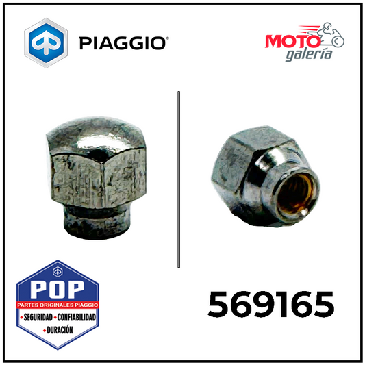 569165 - CAPUCHON DE TORNILLO DE LIMPIAPARABRISAS 2016-2024