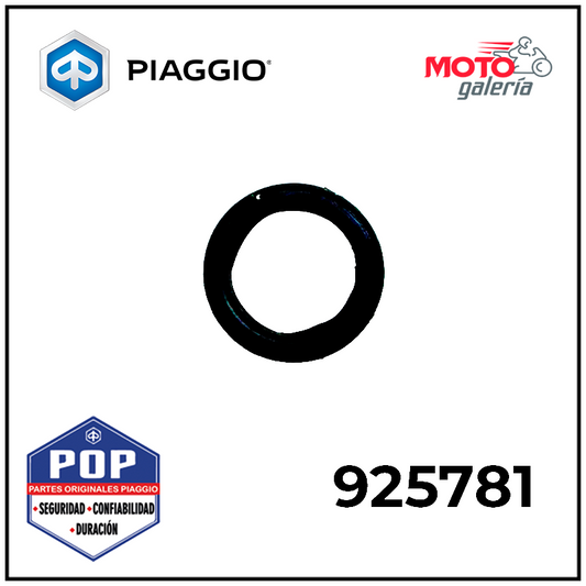 925781 O RING 6 (R-8104-240)