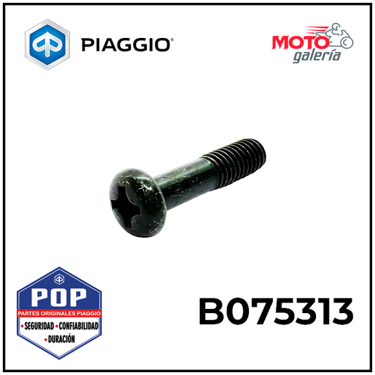 B075313 TORNILLO PHILLIPS M6*25 PARA LEVA DE CLUTCH