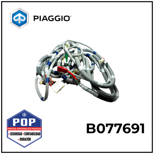 ARNES CON INTERRUPTOR DE CONEXIÓN PRINCIPAL NEUTRO P/LPG - B077691
