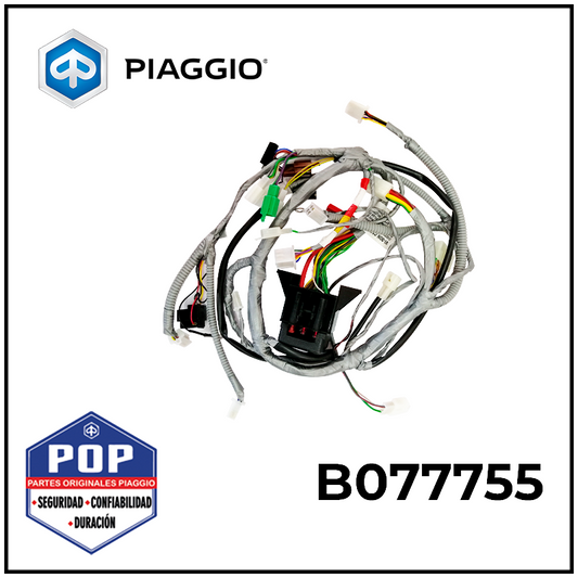 ARNES DE INSTRUMENTOS P/GLP - B077755
