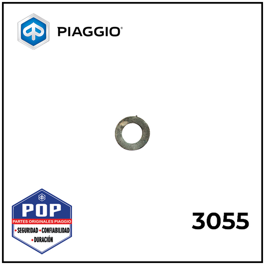 3055 RONDANA PLANA (808000527)