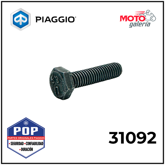 31092 TORNILLO DE CUBIERTA DE CUBREPOLVO M6X25