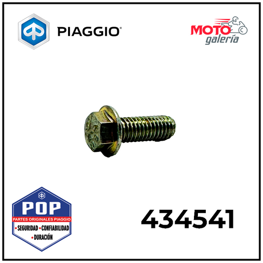 434541 TORNILLO DE TENSOR DE CADENA