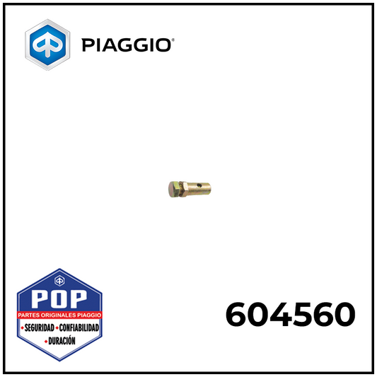 604560 TORNILLO DE TERMINAL DE CONTROL DE CAMBIOS