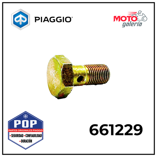 661229 TORNILLO BANJO