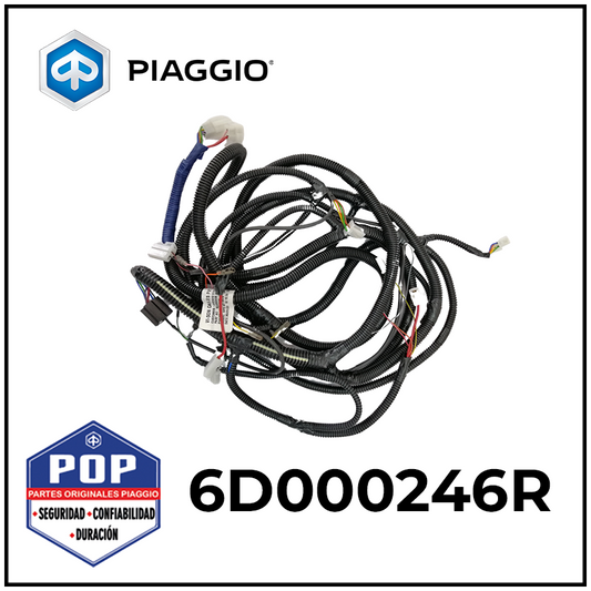 ARNES PRINCIPAL XTRA - 6D000246R