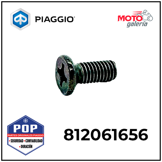 812061656 TORNILLOS DE MAZA