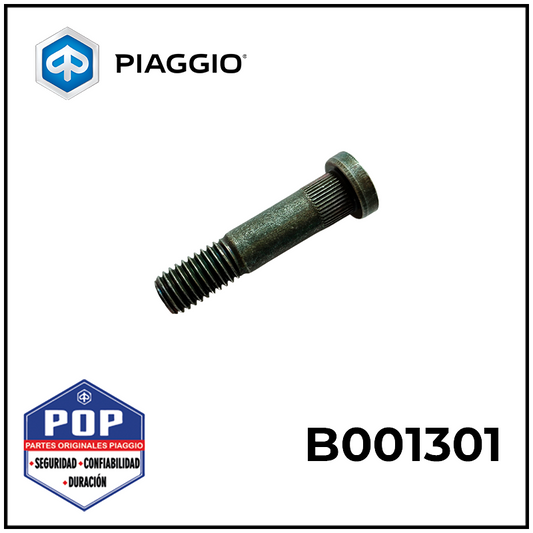 B001301 TORNILLO PARA MAZA DELANTERA CITY200