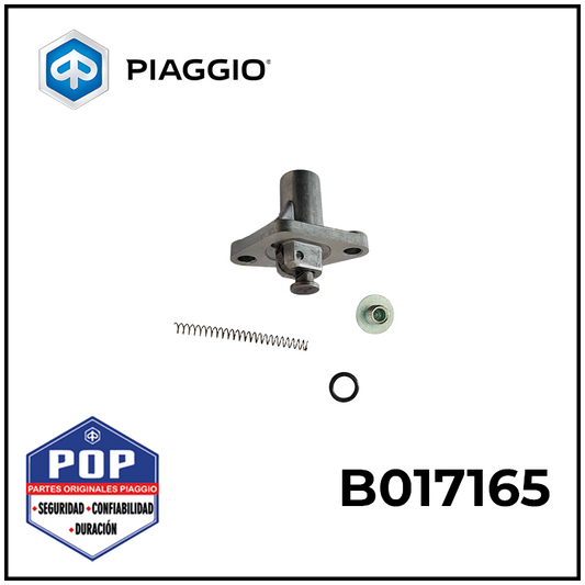 B017165 TENSOR DE CADENA
