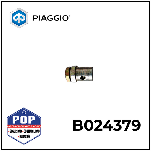 B024379 TORNILLO TERMINAL