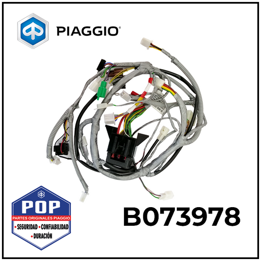 ARNES DE CABLEADO DE PANEL DE INSTRUMENTOS - B073978