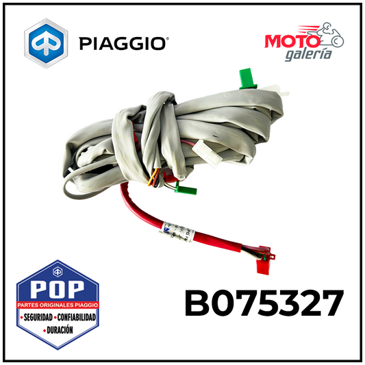 B075327 KIT DE EQUIPO GAS LP W/ MANGUERA (CAMBIO DERECHA)