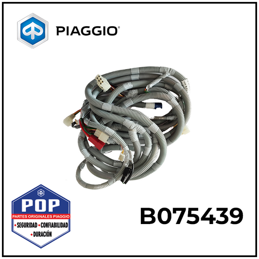 LAMPTL H SARNÉS PRINCIPAL ( CIUDAD 200 GASOLINA) ACTUALIZACIÓN - B075439