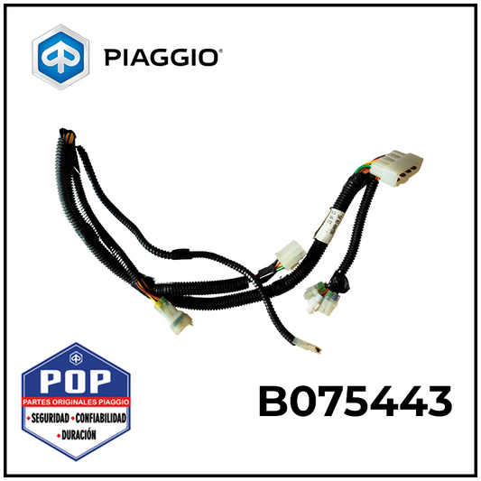 B075443 - CABLEADO DE MOTOR
