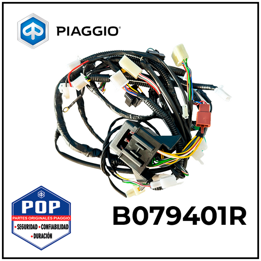 ARNES DE PANEL DE INSTRUMENTOS XTRA 501 > 2019 - B079401R