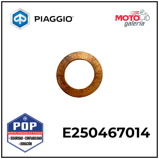 E250467014 ORING DE TORNILLO PURGADOR XTRA 501